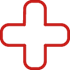 Saúde Icon